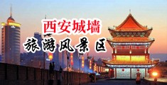 嗯啊骚鸡巴要超骚逼逼的视频中国陕西-西安城墙旅游风景区